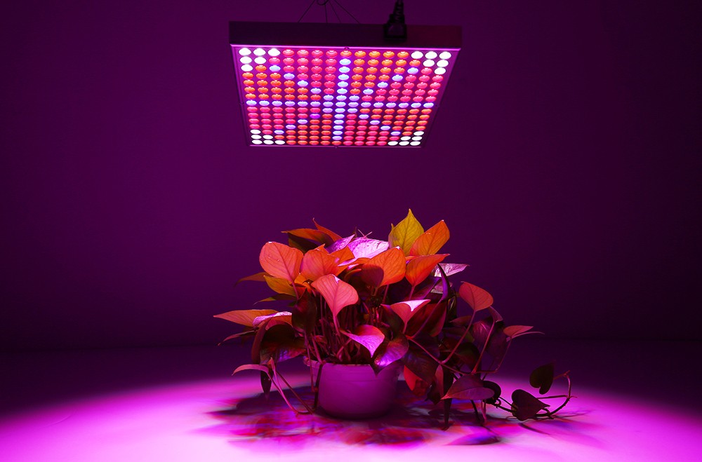 45W ( True 30W ) SMD 2835 LED Grow Light Fill Lamp for Hydroponics Indoor Plant with 225 LEDs