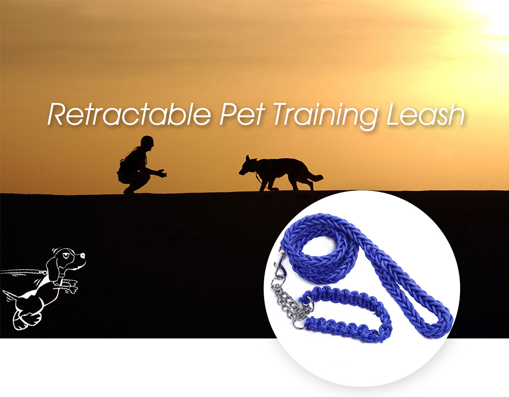 Extendable Retractable Pet Lead Training Leash for Medium Large Dog