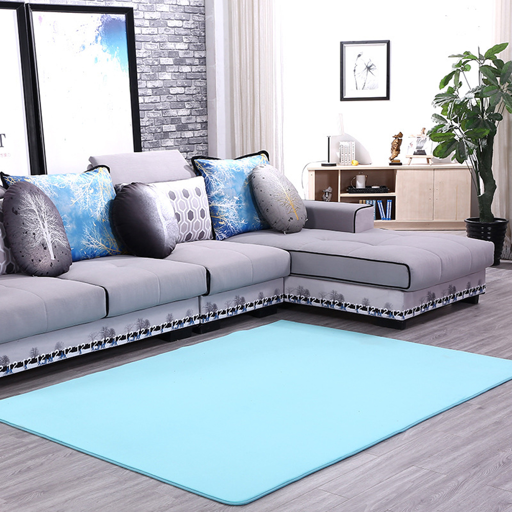 Doormat Modern Style Solid Water Proof Carpet0