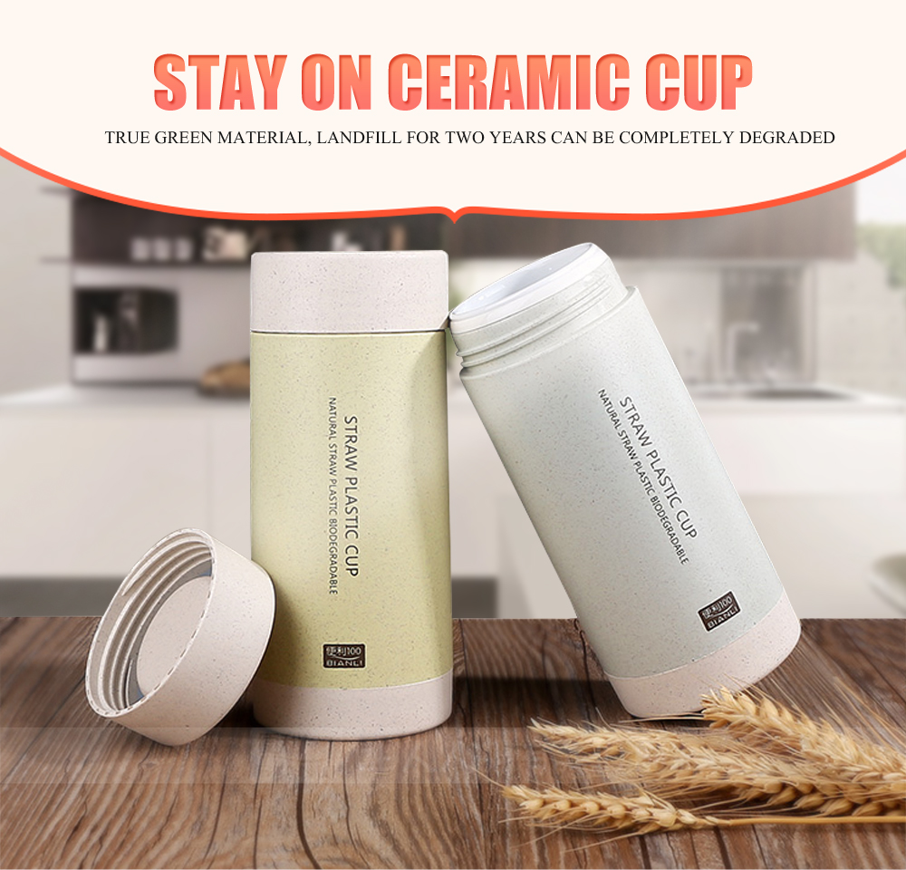 Creative Wheat Straw Plastic Mug Ceramic Tank Vacuum Cup Office Drinking Cup