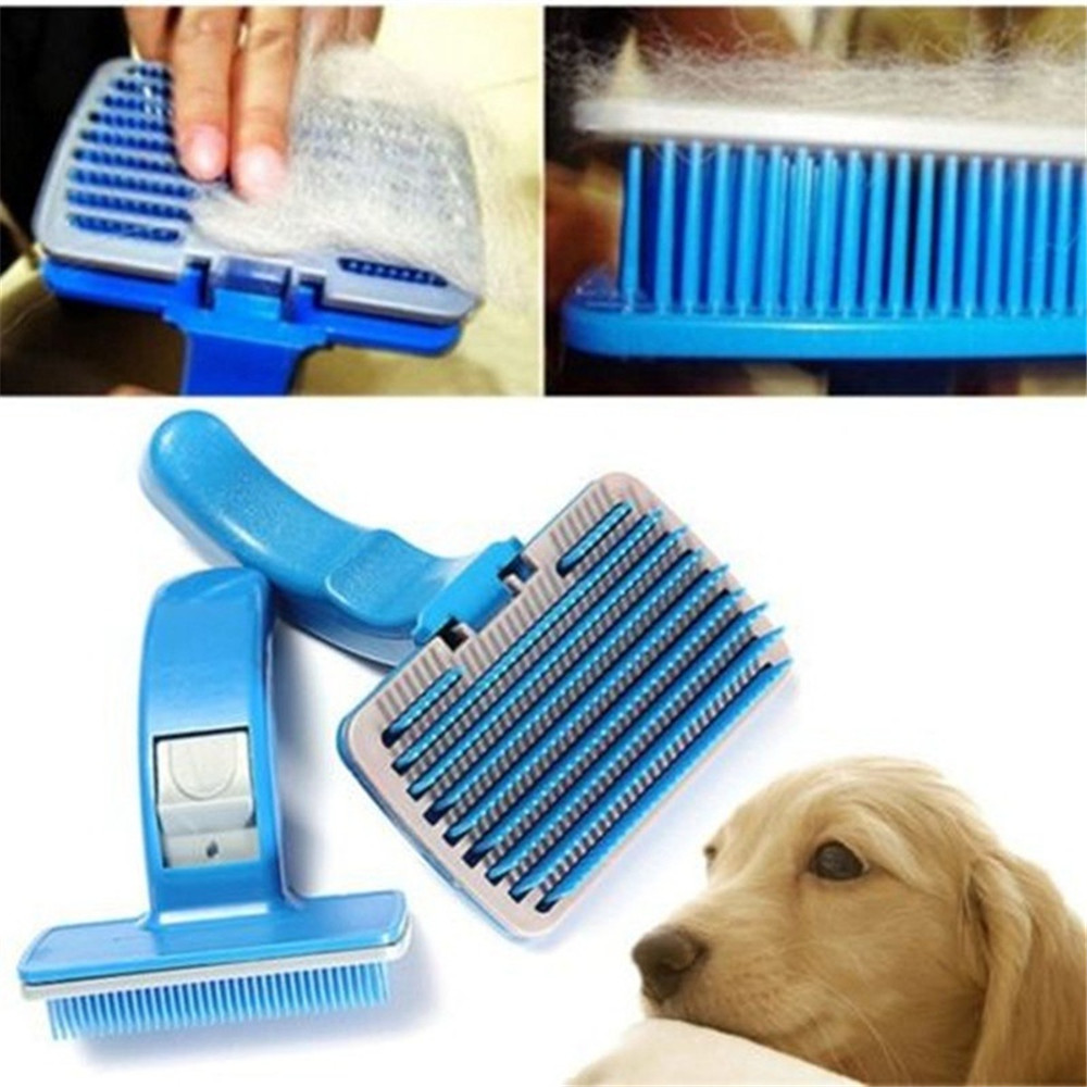 Dogs and Cats with Teddy Hair Brush
