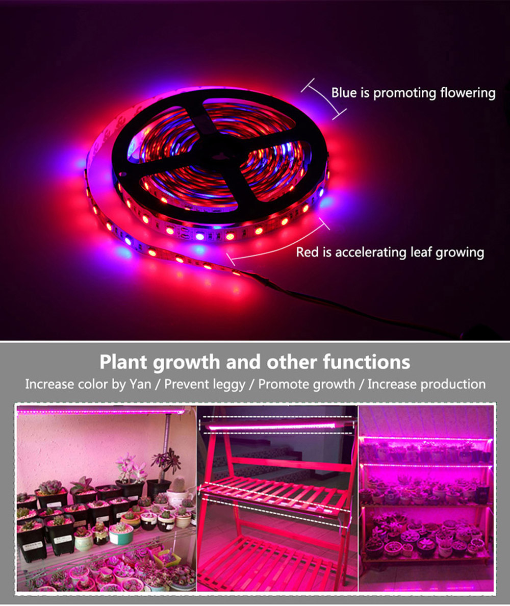 JIAWEN LED Plant Lamp 5050SMD IP65 Growth Light Strip 5M AC 100-240V