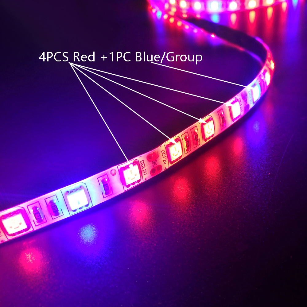 ZDM 5M Waterproof 70W 5050 RED and Blue / Group LED Plant Light Strip DC12V