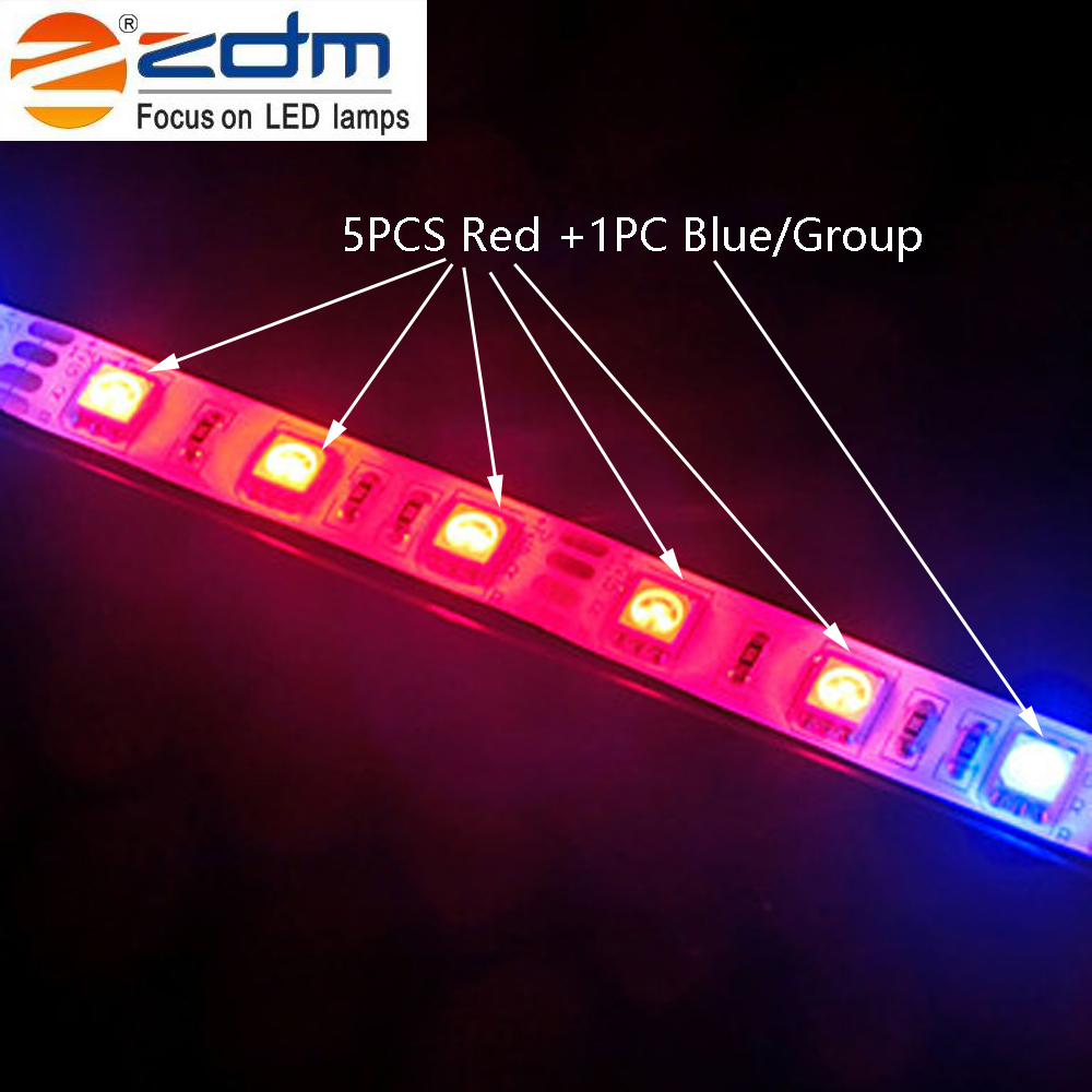 ZDM 5M 70W 5050 RED and Blue / Group LED Plant Grow Strip Light DC12V