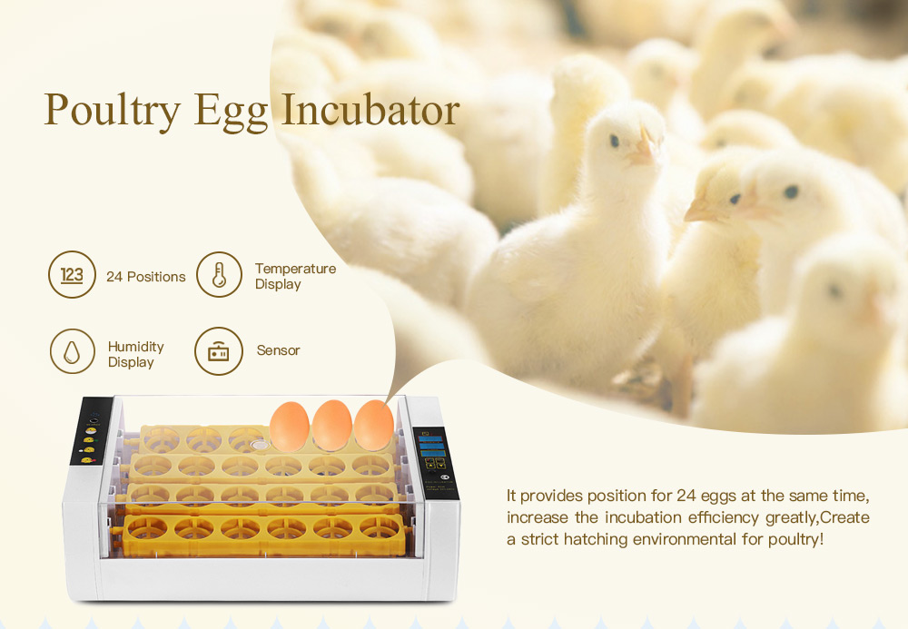 Temperature Humidity Display Transparent Cover Poultry Egg Incubator 24