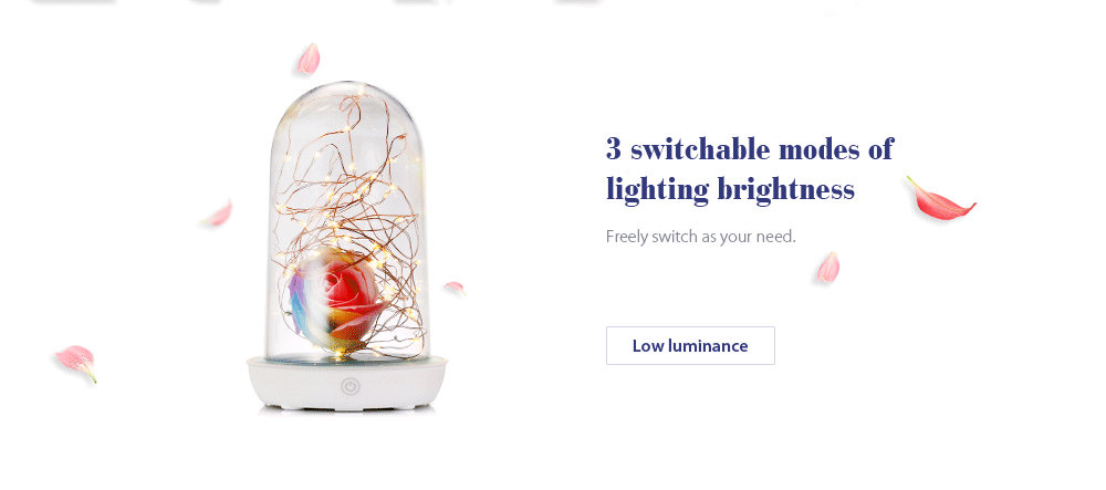 Creative LED Starry String Table Light Bedside Lamp