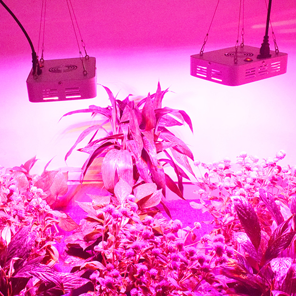 LED Grow Light Full Spectrum Plant Growing Bulb 80W