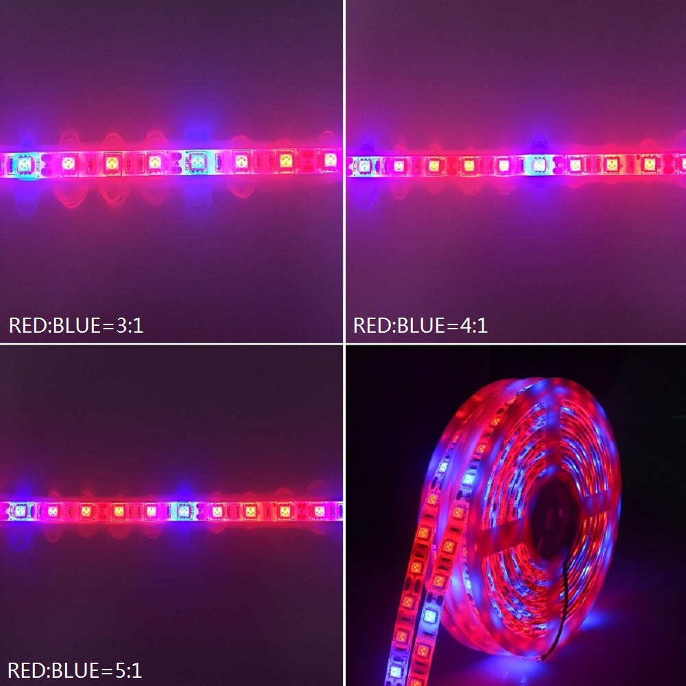 5 M LED Waterproof Full Spectrum Strip Light 300 LEDs 5050 Chip Fitolampy Grow Lights For Greenhouse Hydroponic DC12V