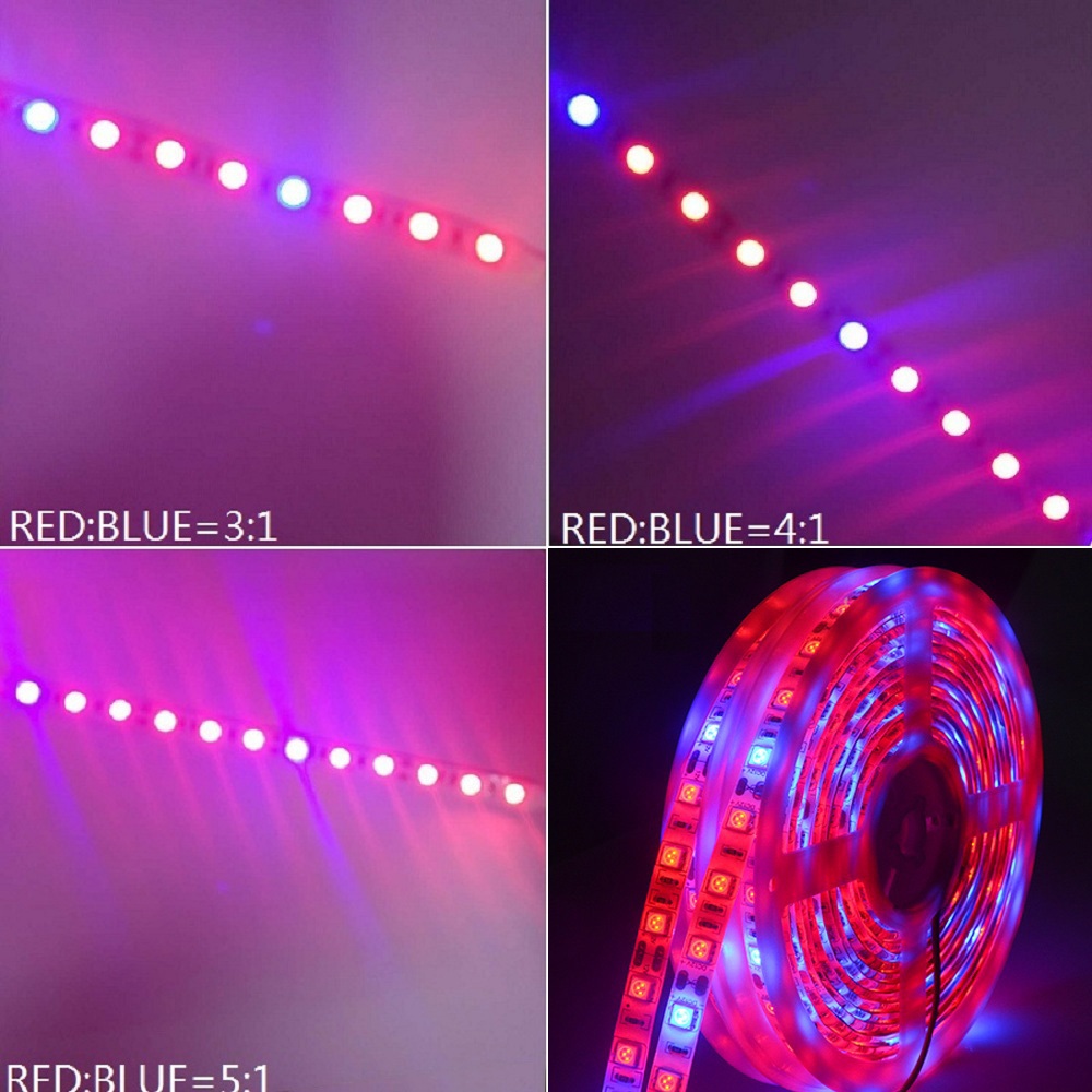 5M LED Phyto Lamps Full Spectrum Strip Light 300 LEDs 5050 Chip Fitolampy Grow Lights For Greenhouse Hydroponic DC12V