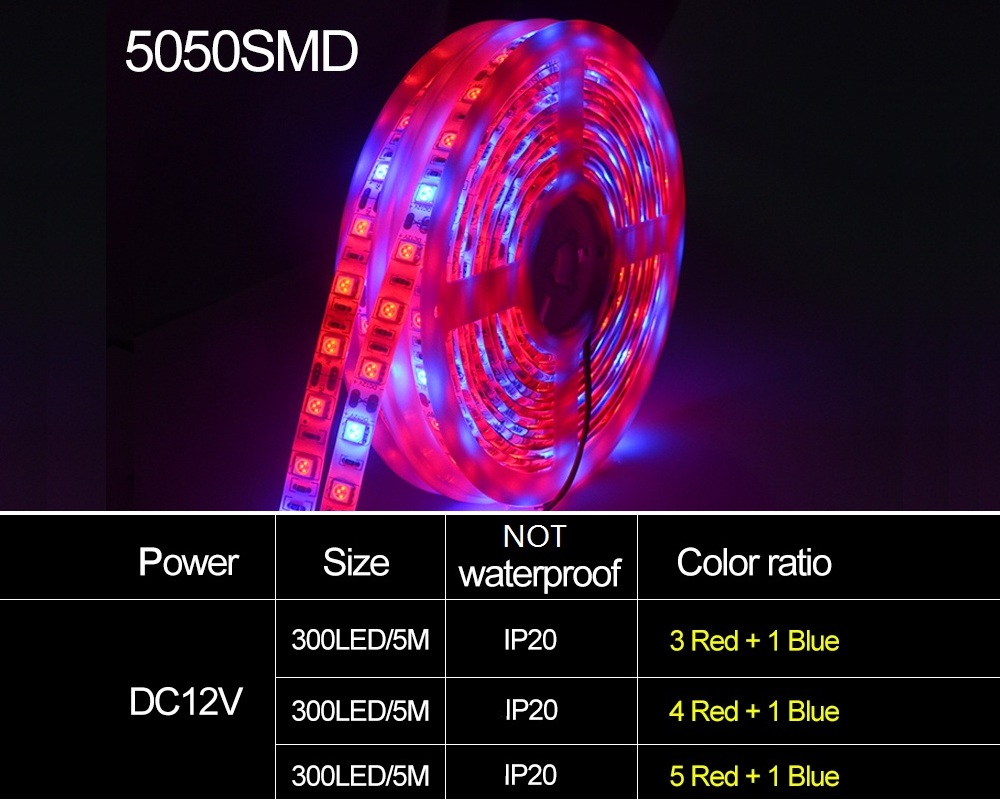 5M LED Phyto Lamps Full Spectrum Strip Light 300 LEDs 5050 Chip Fitolampy Grow Lights For Greenhouse Hydroponic DC12V