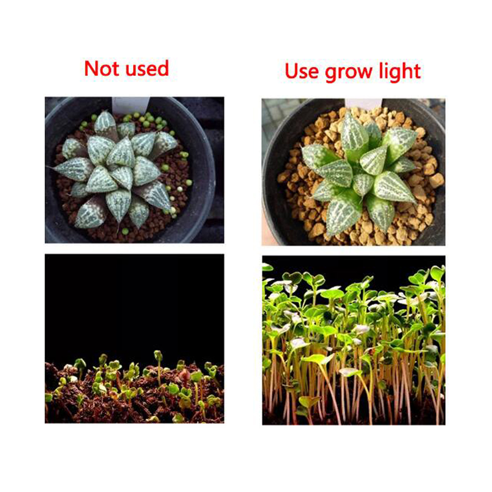 30W 220V DIY Grow Plant Light Full Spectrum LED Chip