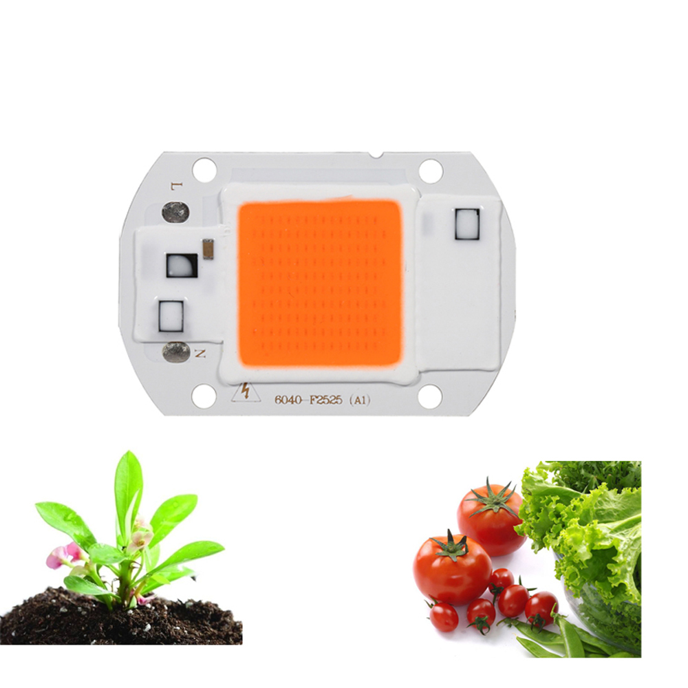 20W 220V LED Full Spectrum Plant Growth Light Chip for Garden