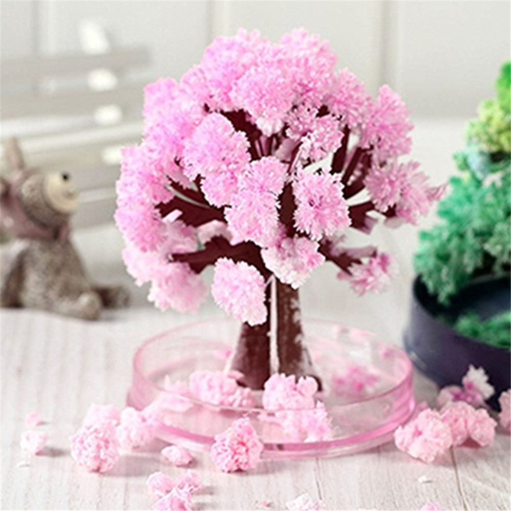 Crystal Growing Sakura Paper Tree Cherry Novelty Toy