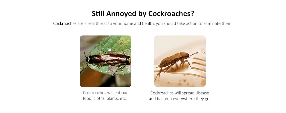 Reusable Automatic Cockroach Trap Efficient Bug Catcher Pest Control