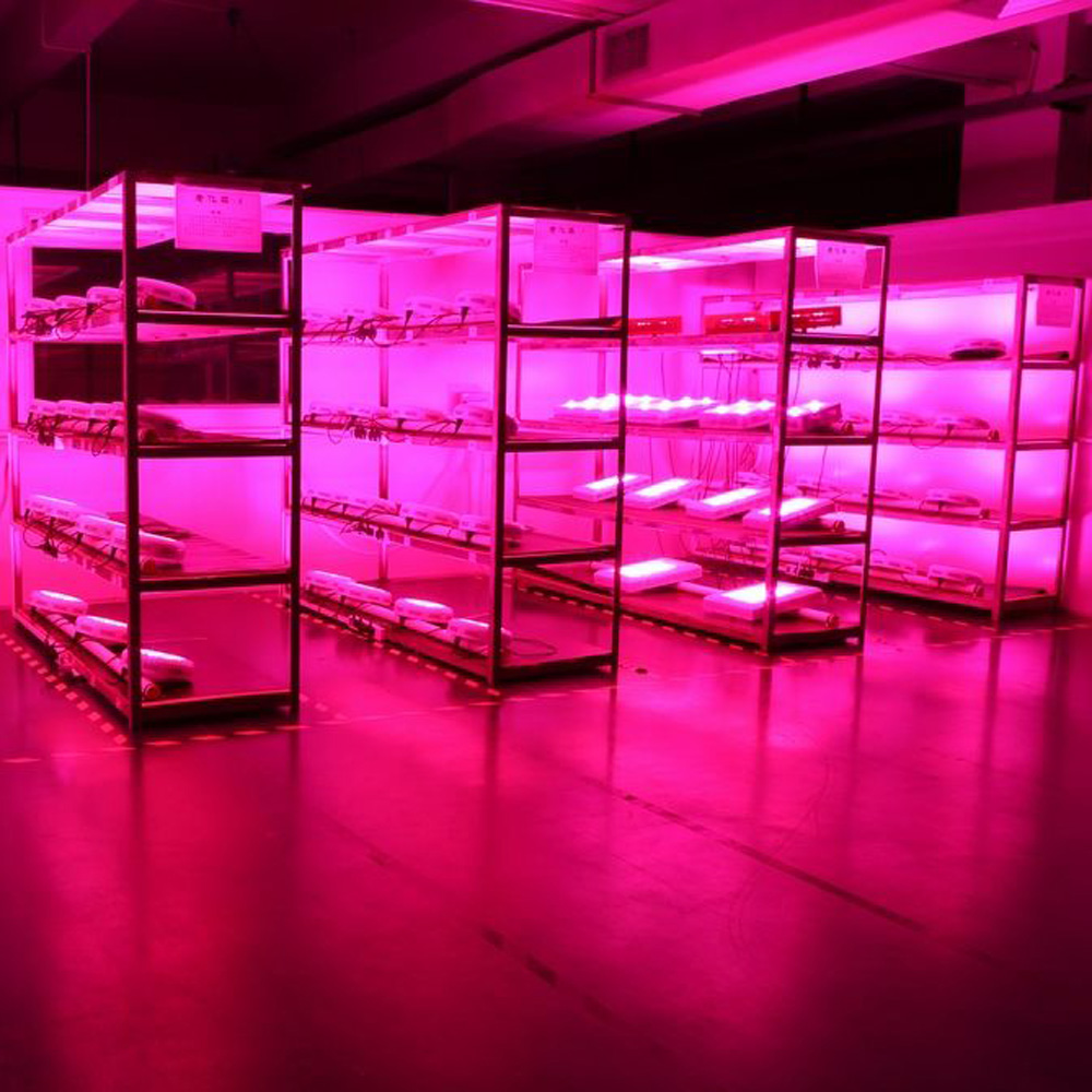 70W LED Grow COB Light Chip Full Spectrum for Plant Vegetable Flower AC220V