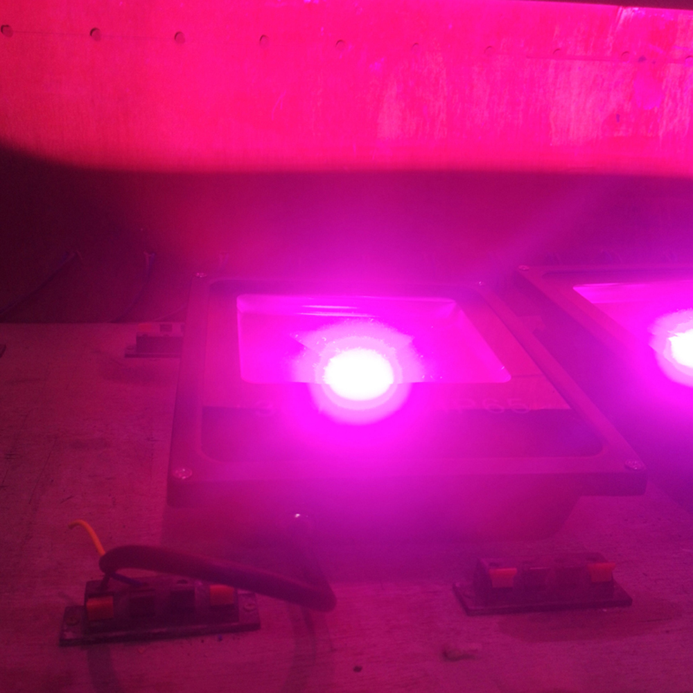 50W Full Spectrum LED COB Chip Grow Light for DIY AC110V AC220V