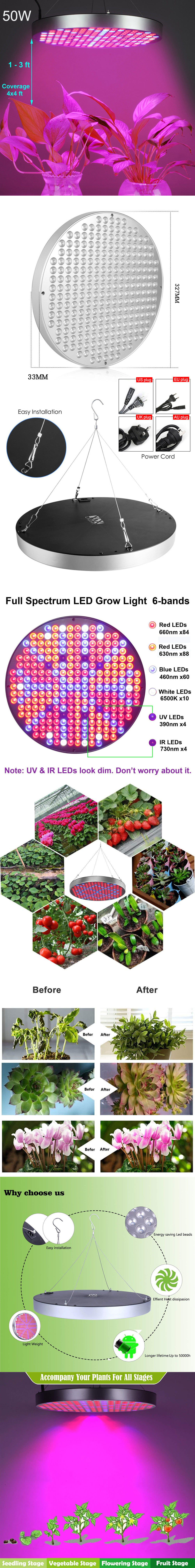YWXLight 50W LED Plant Grow Lights 250 LEDs Indoor Red Blue Spectrum Flowering
