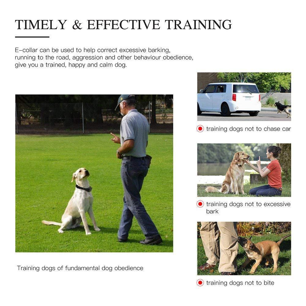 Shock Training Collar Electronic Remote Control Waterproof 875 Yards 2 Dogs