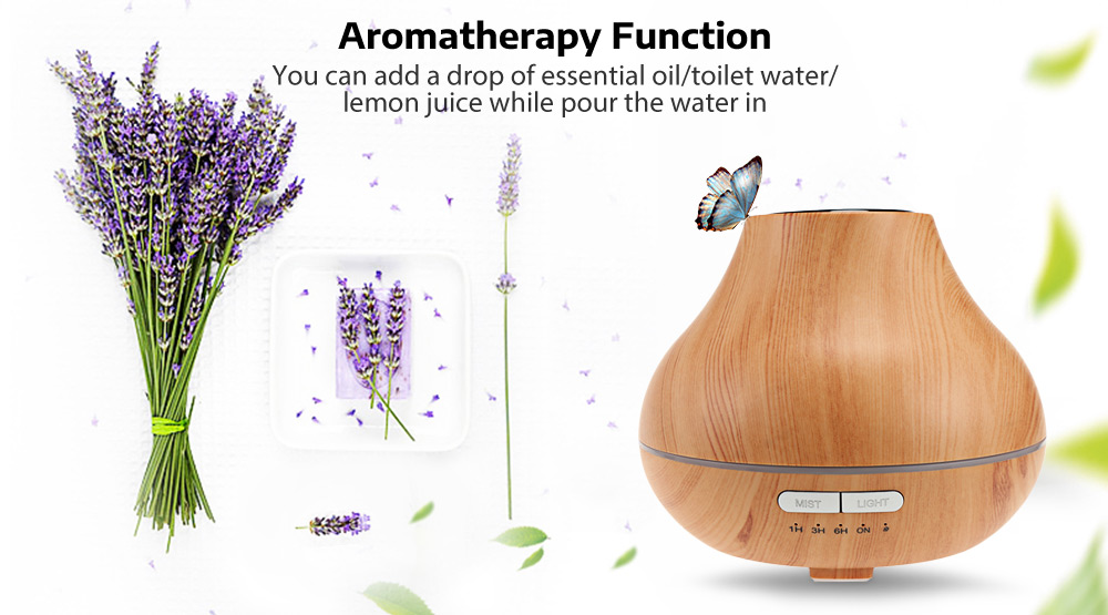 Aromatherapy Humidifier Mist Maker with Night Light