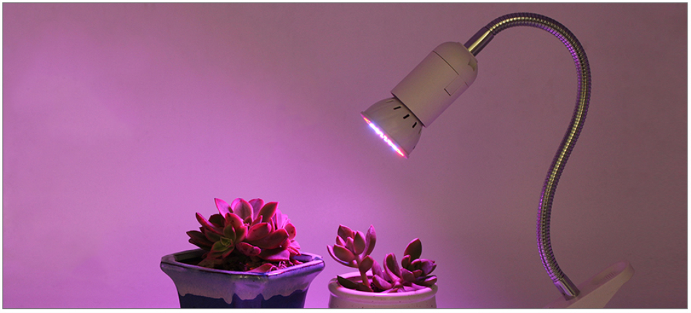 OMTO LED Plant Growth Bulb 110V For Succulent Green Leaf Potted Plant