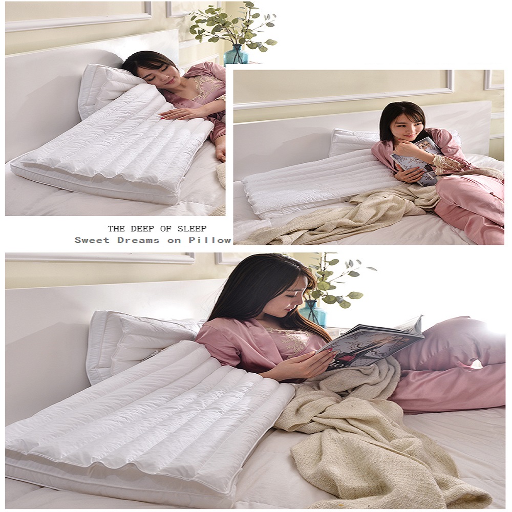 PE Tube 2 in 1 Healthy Pillow