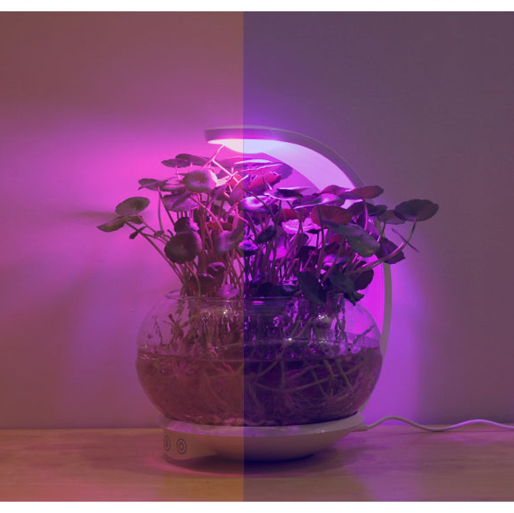 Plant growth LED table lights are great for growing small fresh plants and are a