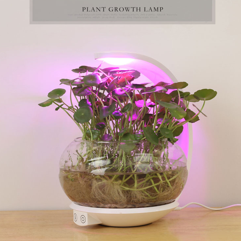 Plant growth LED table lights are great for growing small fresh plants and are a
