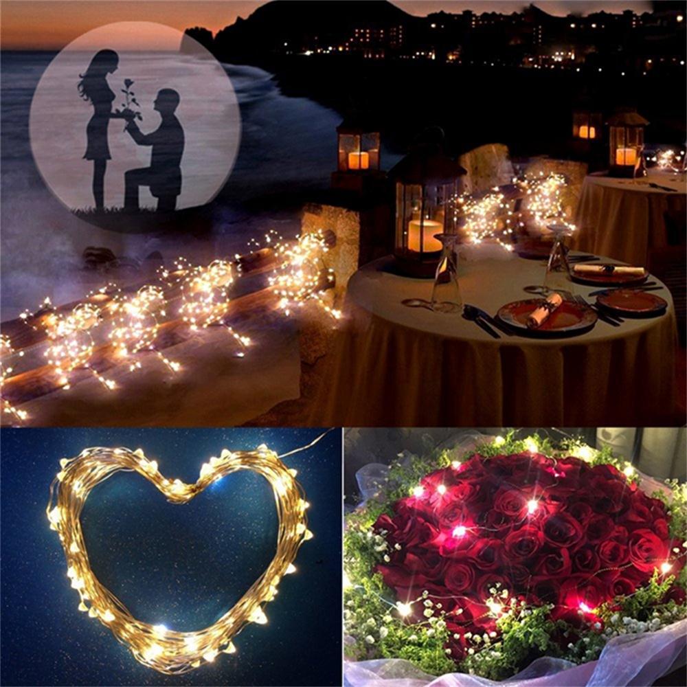 10 Meters 100 Light Copper Wire Light String Holiday Lights LED Timbo Christmas