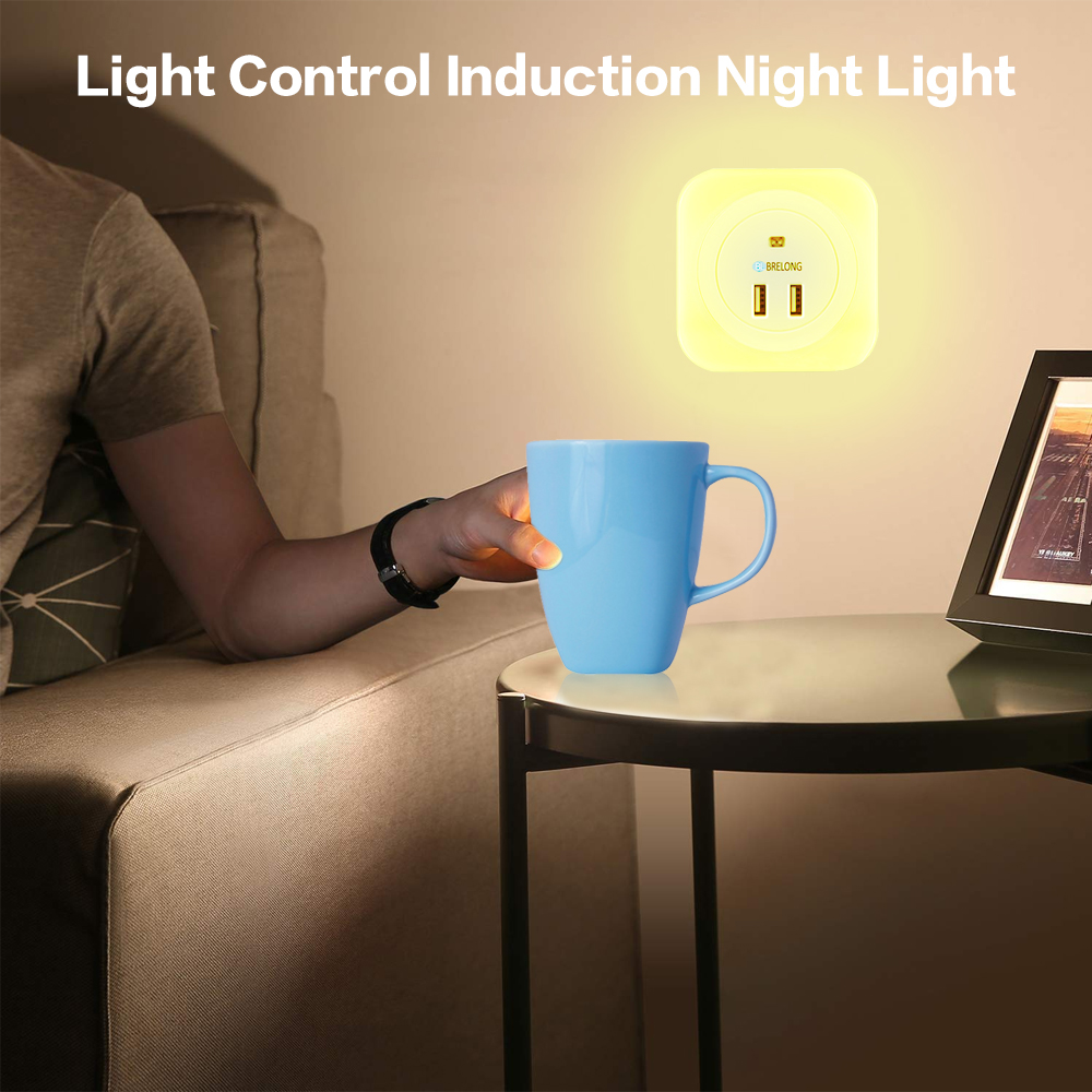 BRELONG Dual USB Interface Charging Light Control Induction Night Light US