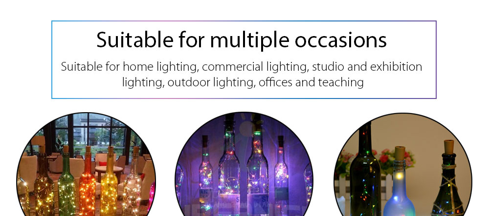 Wine Bottle Lights LED String Light 2m for Wedding