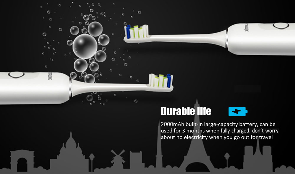 PW - B - 503 Intelligent Acoustic Wave Electric Toothbrush