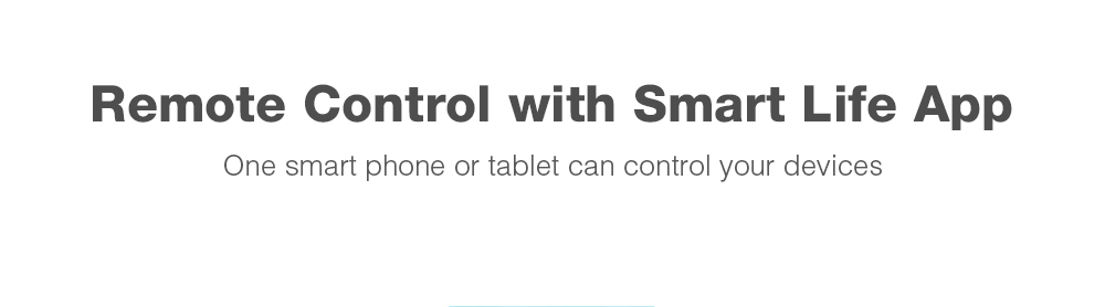 WiFi Mini Plug Remote Control Smart Socket