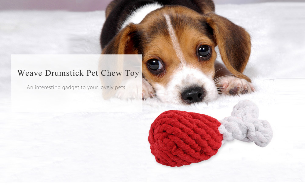Simulated Weave Chicken Drumstick Pet Toy Puppy Chew Bite Gadget