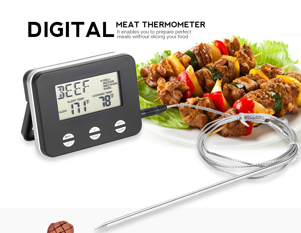 TS - 81 Digital Meat Temperature Electronic Food Thermometer