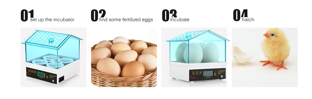 HHD YZ9 - 4 Mini Electric Digital 4 - Egg Incubator Thermostat House for Chickens Ducks Gooses Birds