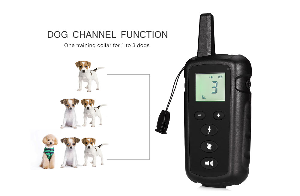 998DRN Waterproof Rechargeable Remote Electric Dog Training Collar