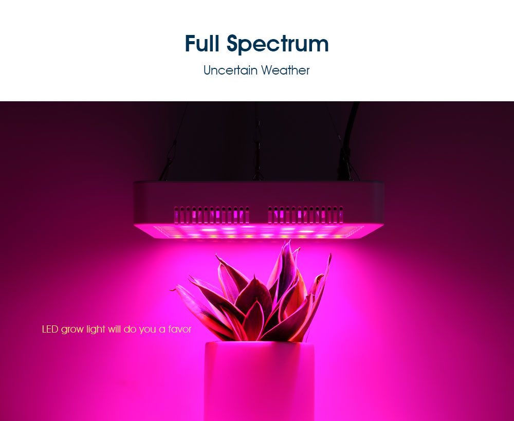 RFC - F300W 100PCS LEDs Grow Light for Veg Flower
