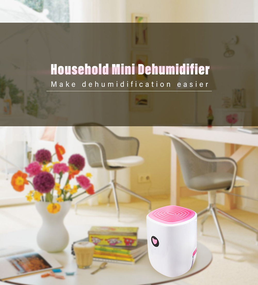 Home Dehumidifier Portable Electric Mini Drying Machine