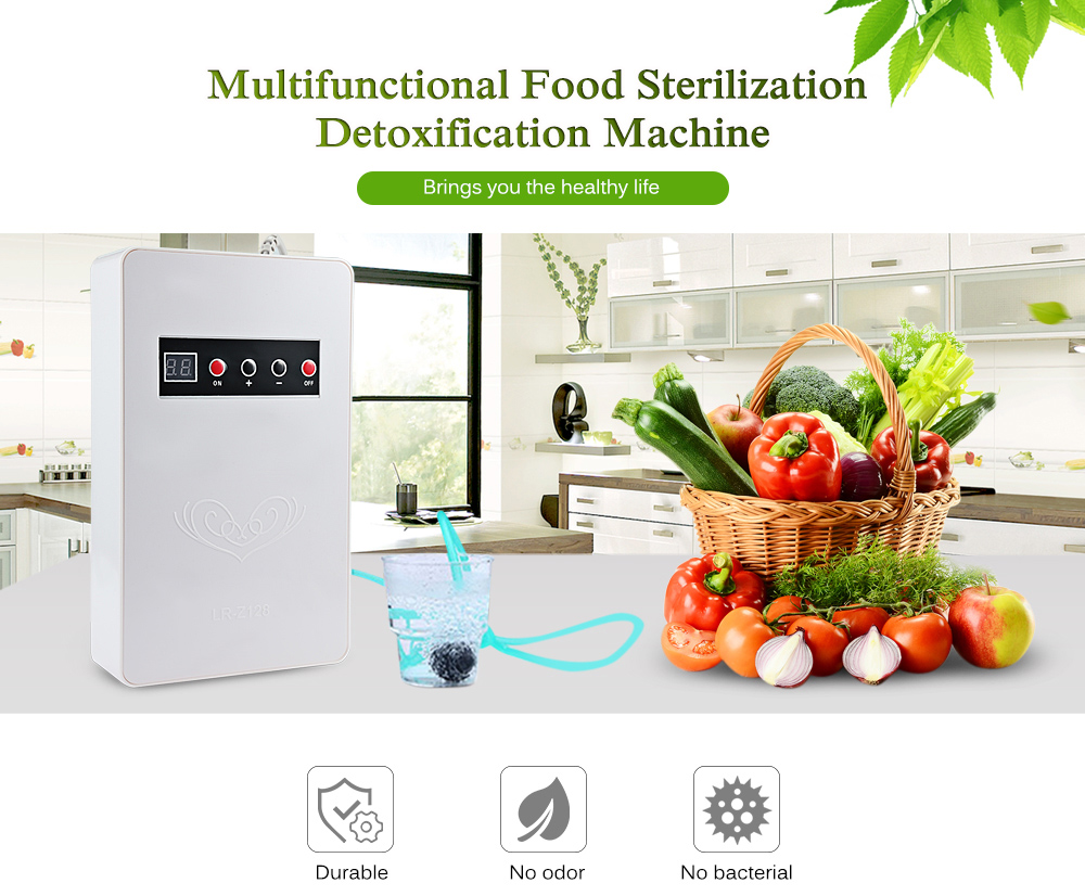 LR - Z128 Multifunctional Ozone Food Fruit Sterilization Detoxification Machine