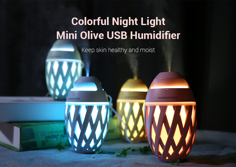 Colorful Night Light Mini Olive USB Humidifier