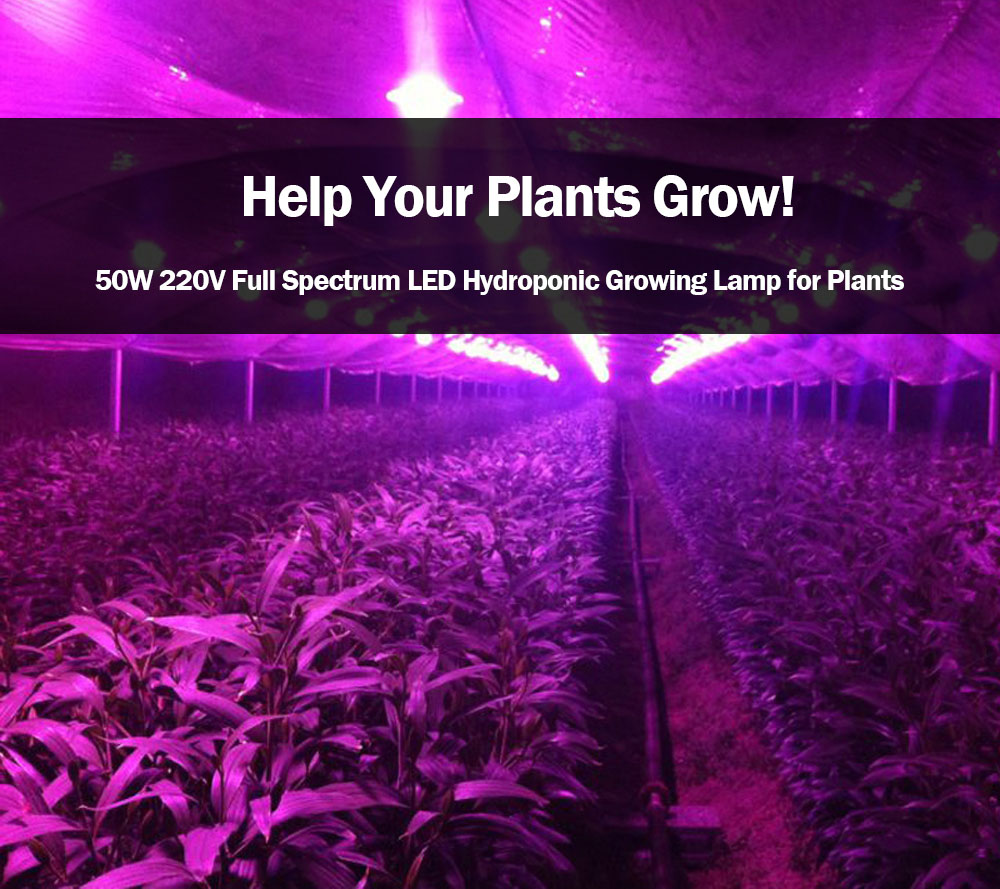 50W 220V LED Full Spectrum Led Chip Grow Light Growth Garden Hydroponic Plant