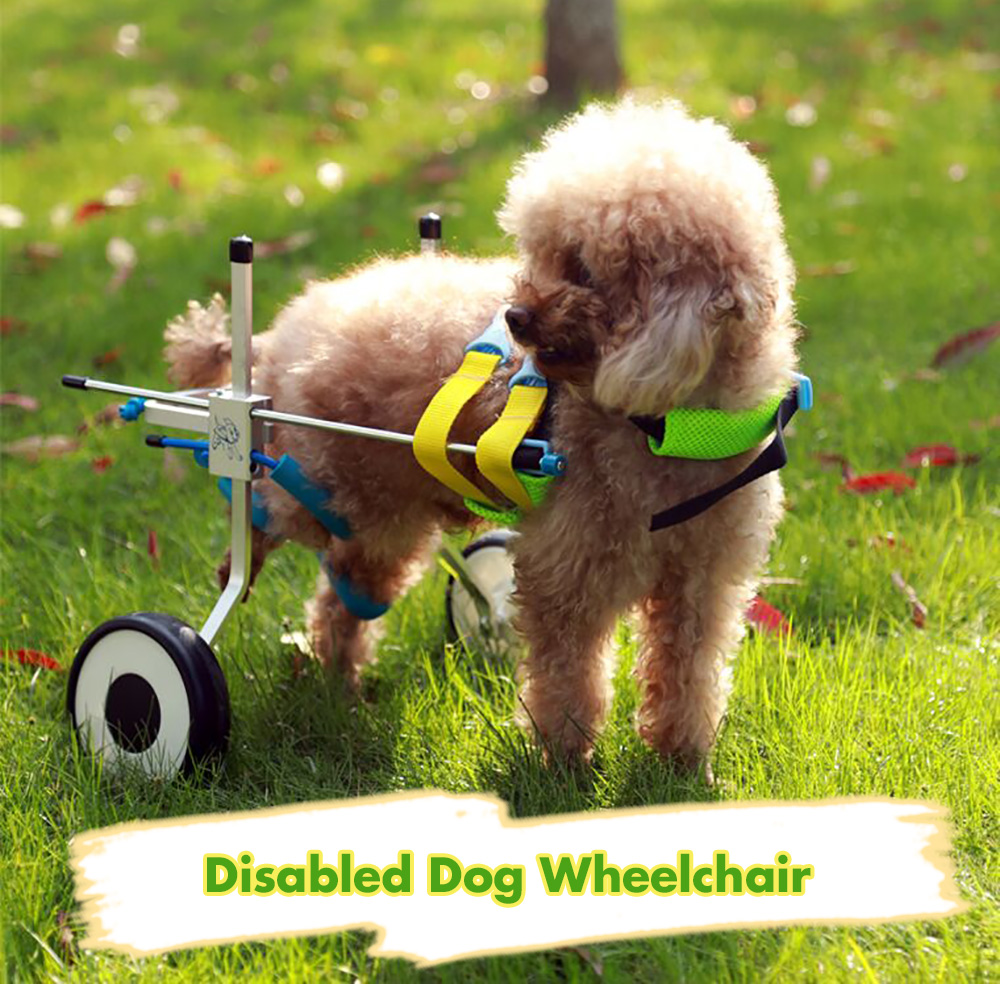 PW - AB Disabled Dog Wheelchair Paralyzed Pet Scooter Assistant
