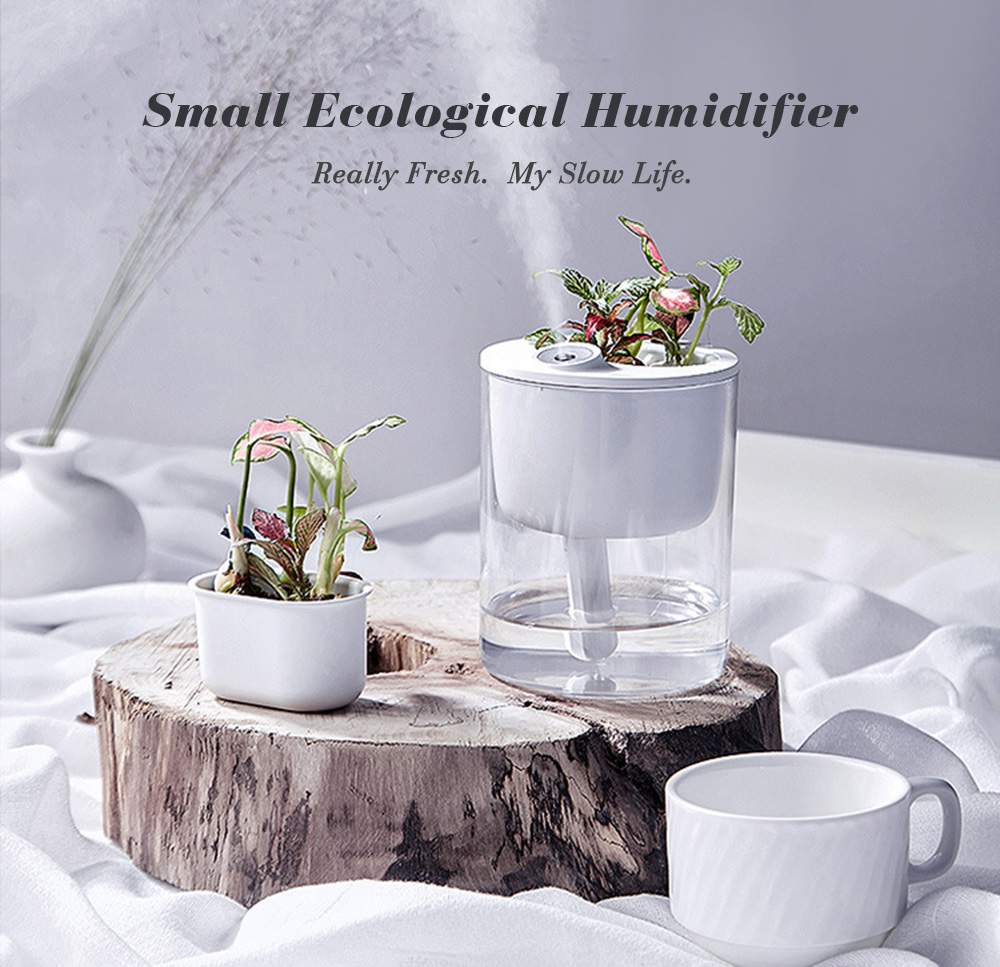 Creative Ecological Home Mini Bedroom Desktop Potted Mute USB Small Humidifier