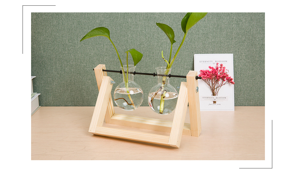 Creative Hydroponics Plant Terrarium Wooden Stand