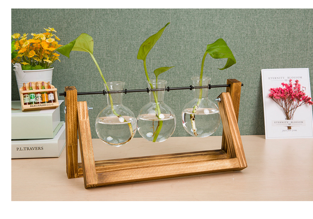 Creative Hydroponics Plant Terrarium Wooden Stand
