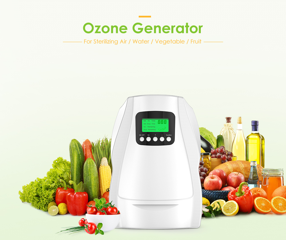 N202C Ozone Generator Water Fruit Vegetable Air Portable Sterilizer Purifier Bacteria Mould Removal Home