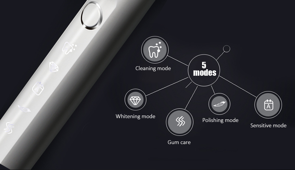 PW - B - 503 Intelligent Acoustic Wave Electric Toothbrush