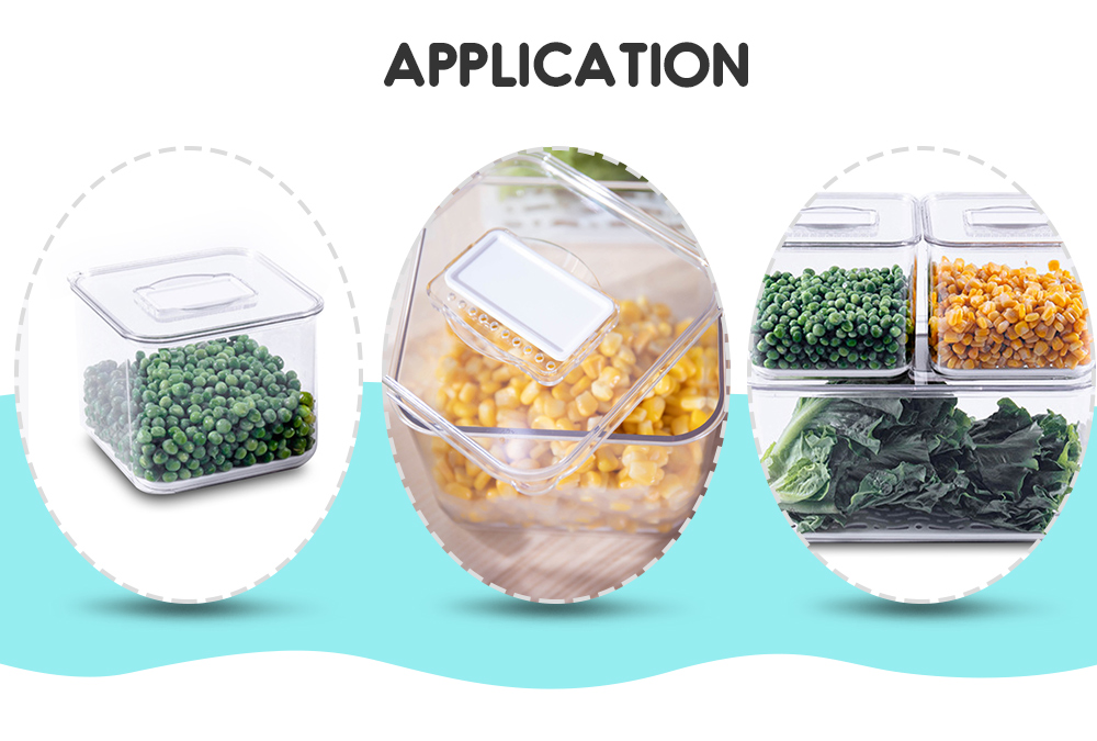 3PCS Kitchen Refrigerator Fruit Vegetable Crisper Plastic Storage Boxes