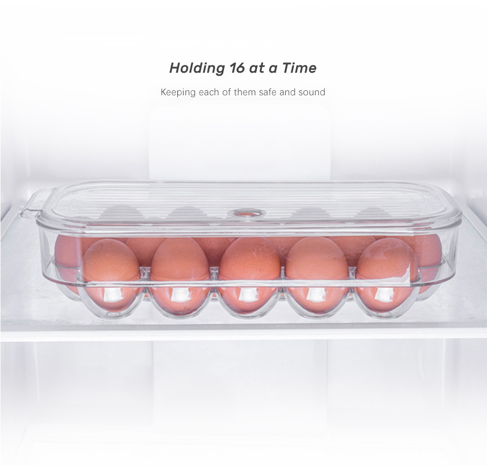 Plastic Egg Holder for Refrigerator with Handle Lid Fridge Storage Organizer