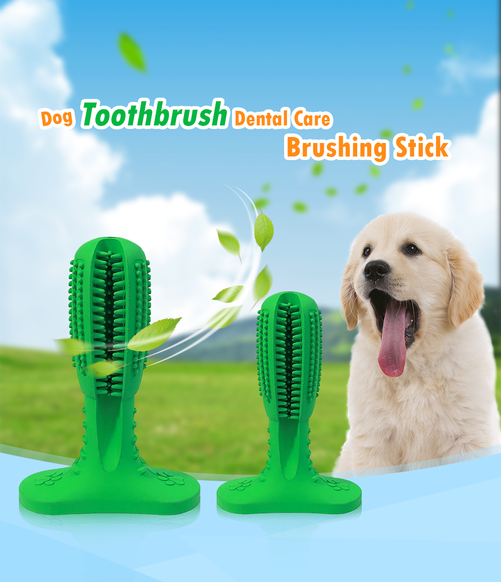 Dog Toothbrush Dental Care Brushing Stick